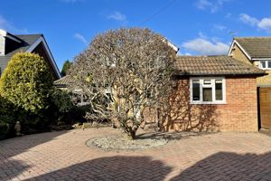 Photo 2- click for photo gallery